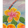 Sun-Kissed Hibiscus