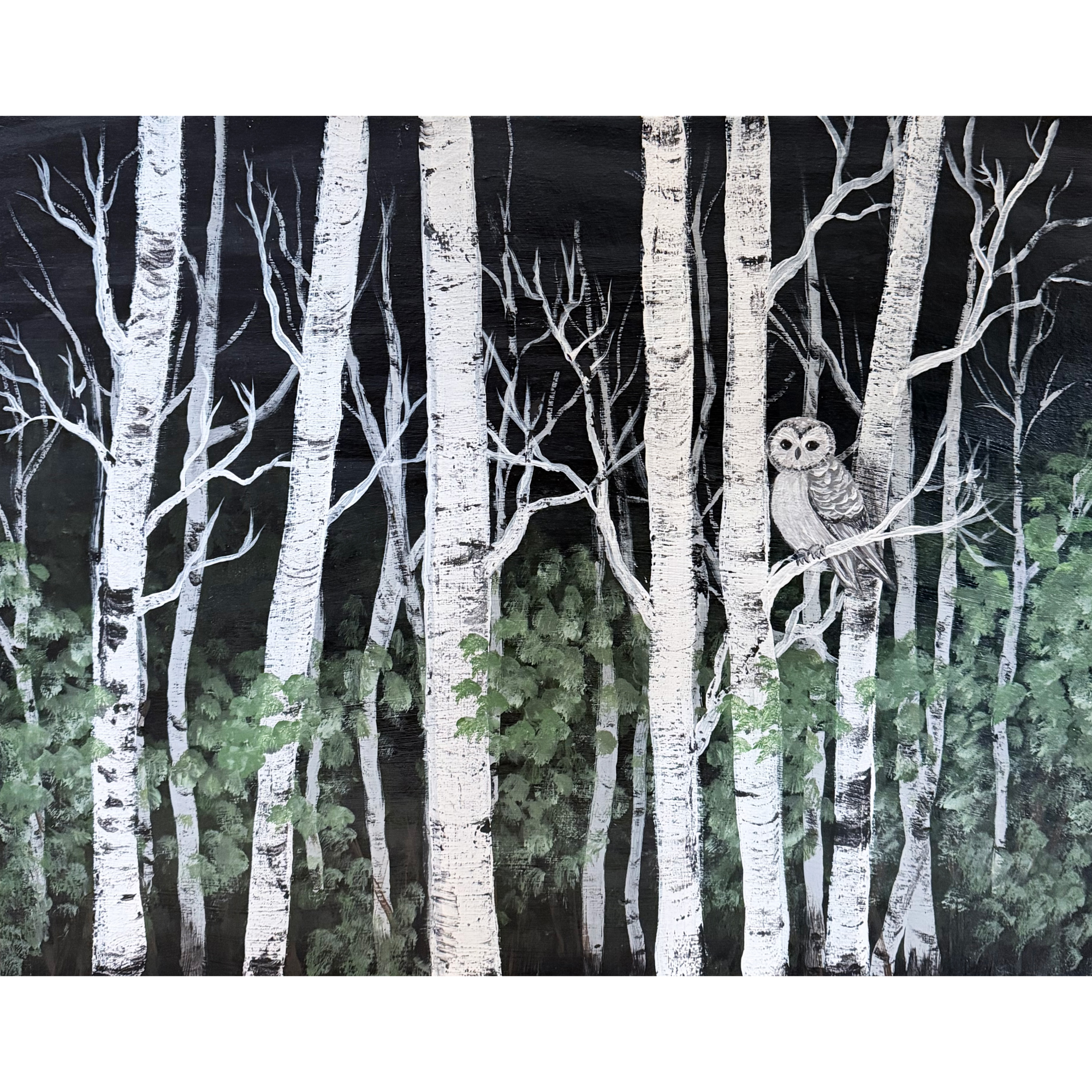 Night Watch In The Aspens