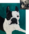 Paint Your Pet