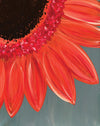 Sundaisy