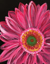 Pink Petals