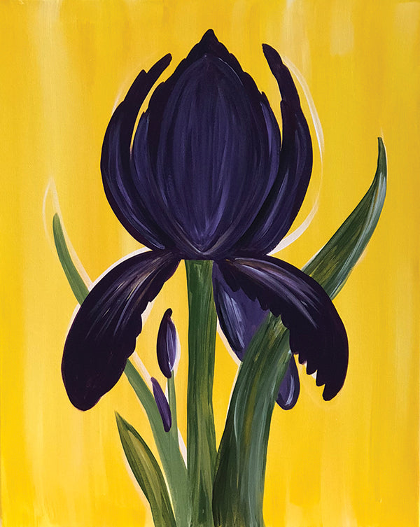 Purple Iris