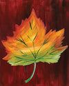 Leaf Colors