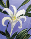 Easter Lily