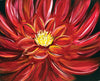 Scarlet Petals
