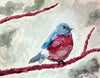 Robin Bird