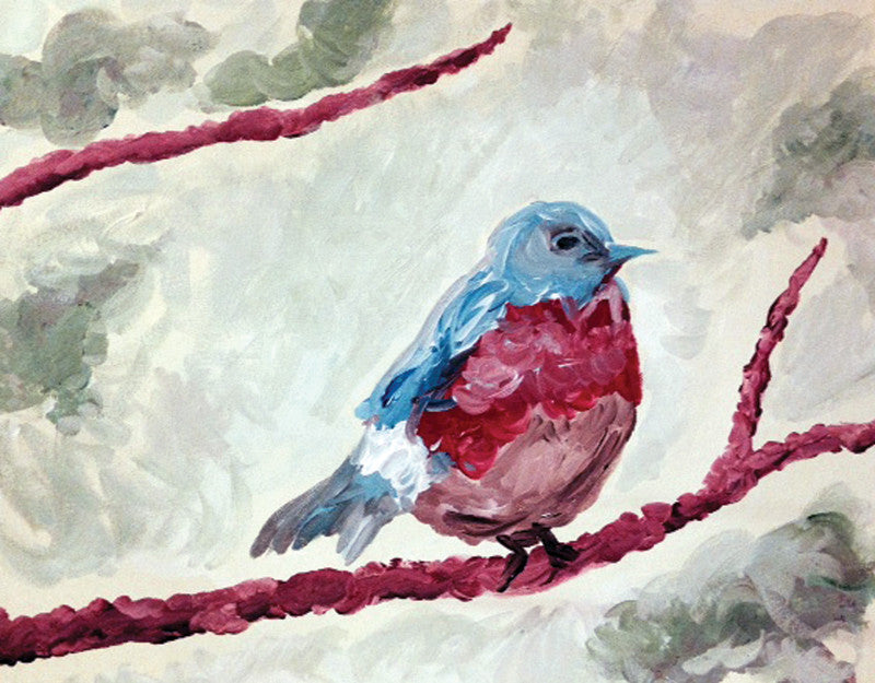 Robin Bird