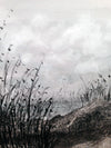 Stormy Shore
