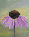 Wild Daisy