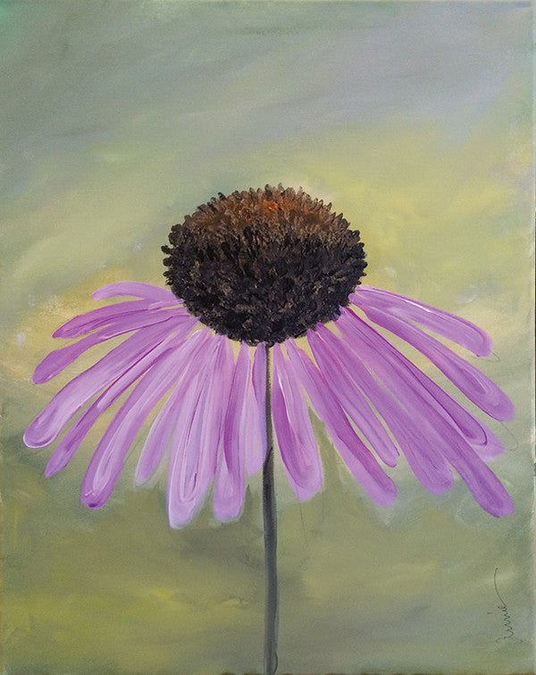 Wild Daisy