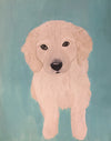 Paint Your Pet