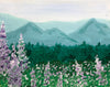 Spring View
