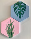 House Plants on Hexagon Canvas