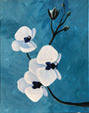 White Orchid