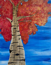 Look to the Trees