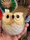 Owl Planters with Flingin Pots