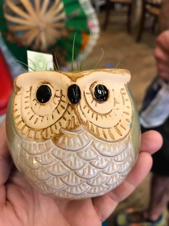 Owl Planters with Flingin Pots
