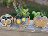 Flingin&#39; Pots Owls