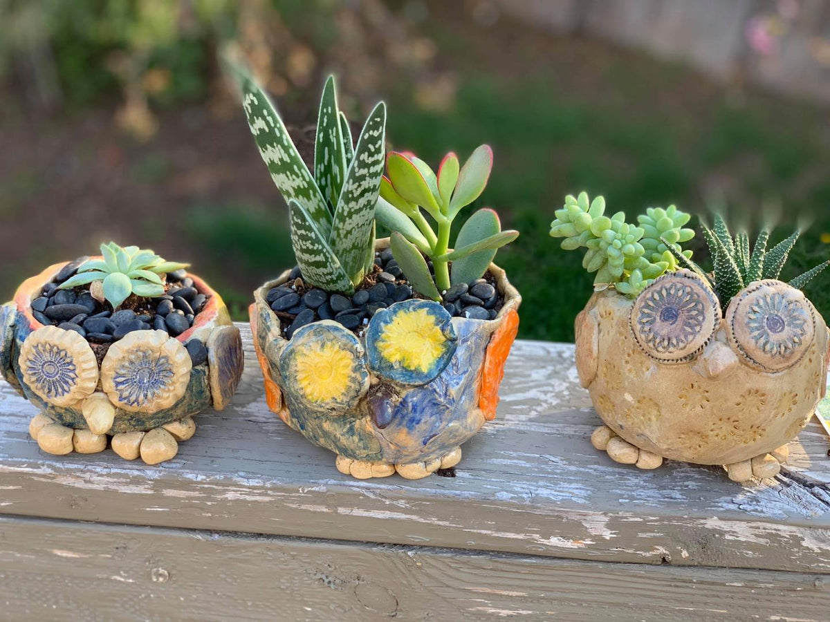 Flingin&#39; Pots Owls