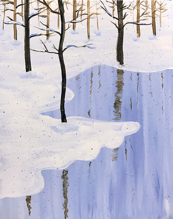 Snowy Reflections