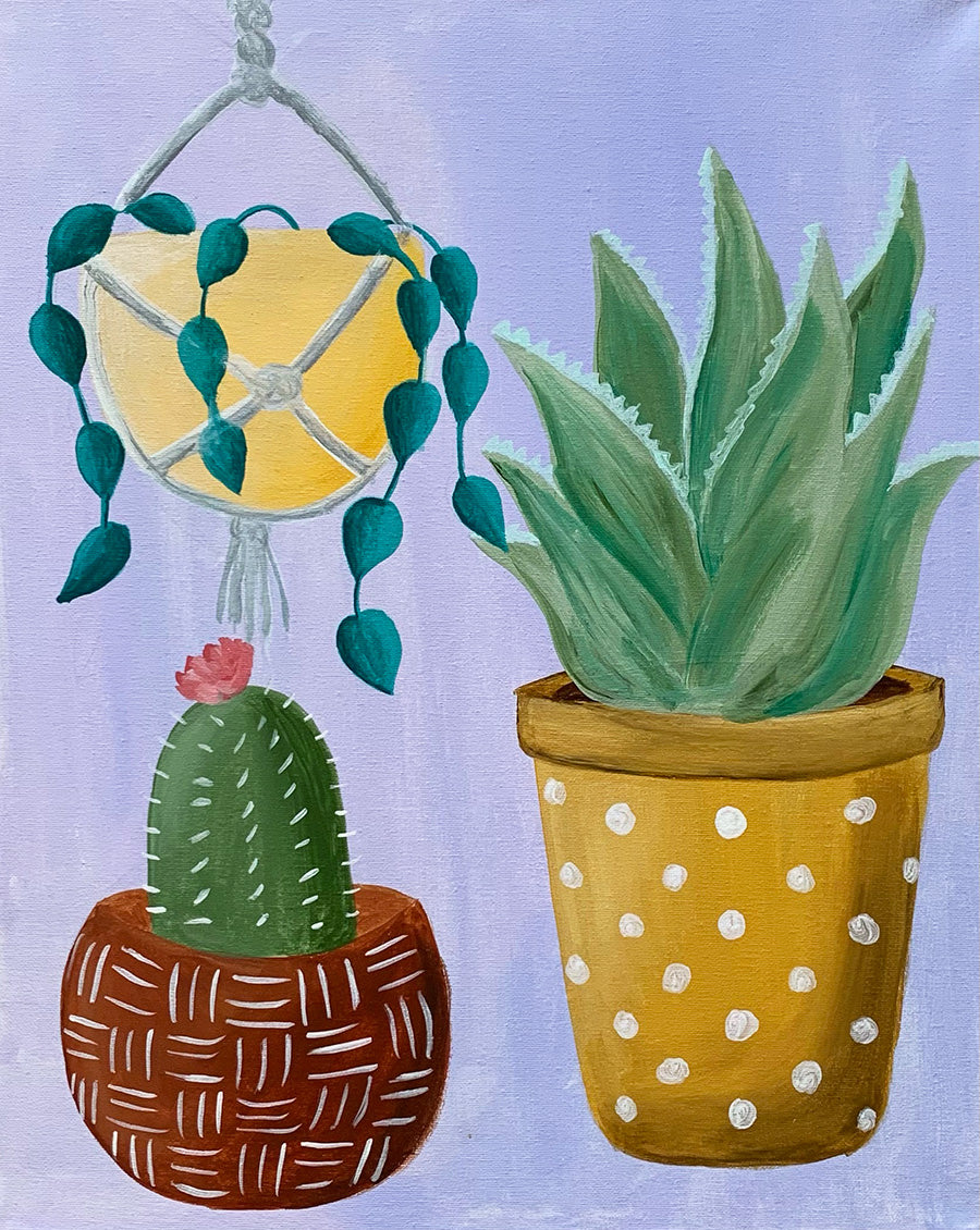 Happy Houseplants