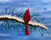Cardinals Bring Good Luck