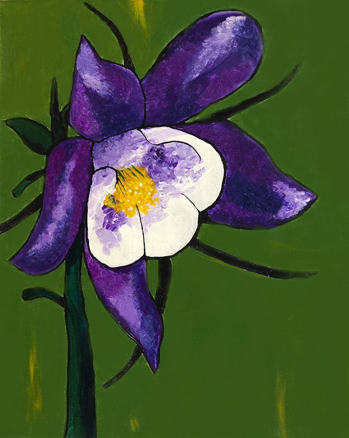 Colorado Columbine