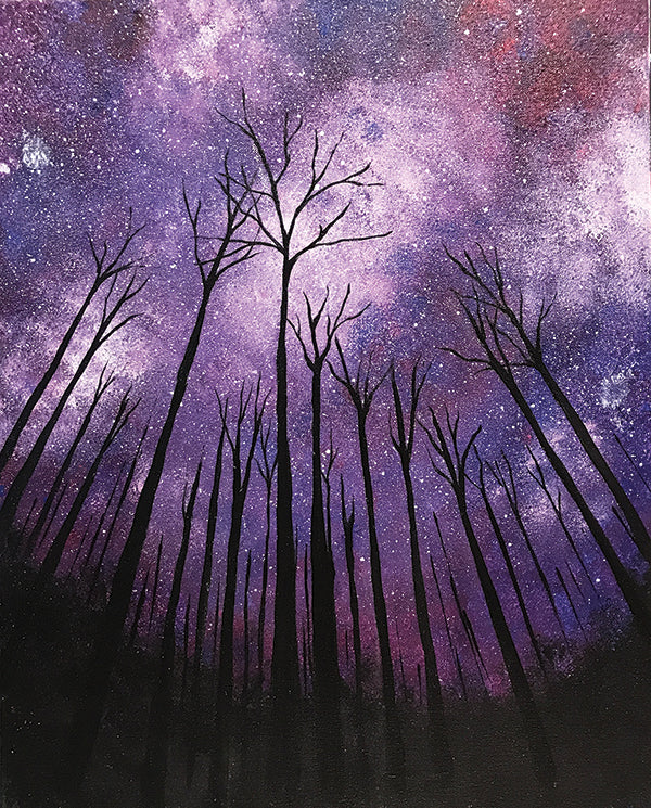 Night Sky Paint-at-Home Kit