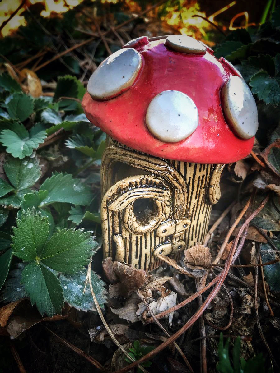 Mushroom Fairy House