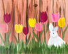 Hunny Bunny