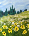 Mountain Meadow