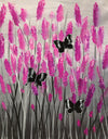 Black Butterflies