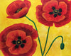 Poppies