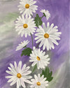 Daisy Day